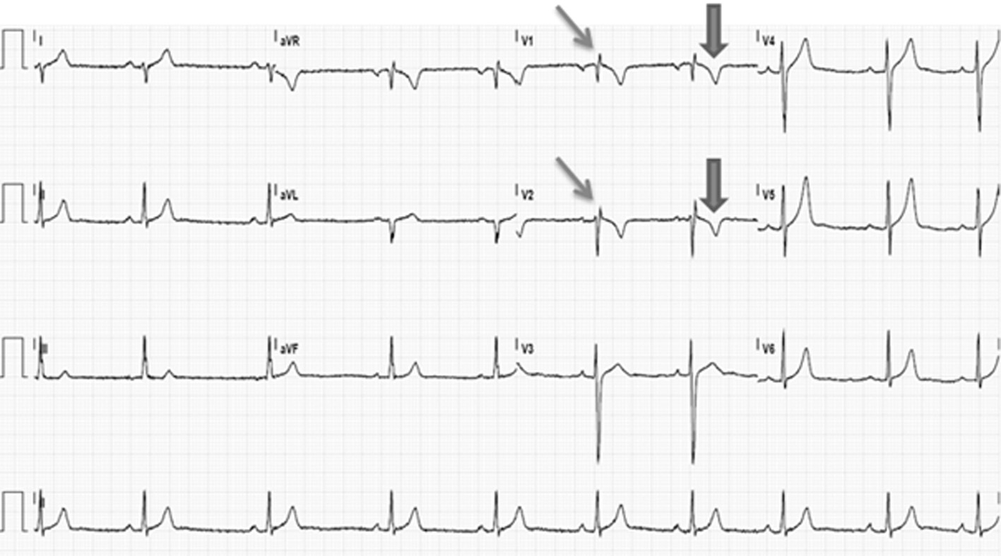 Figure 3. 