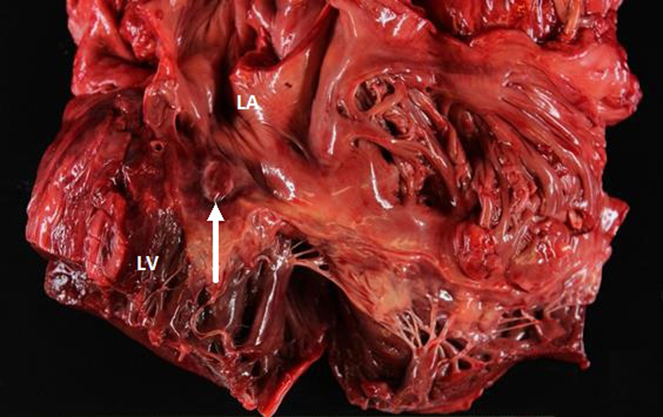 Figure 4. 