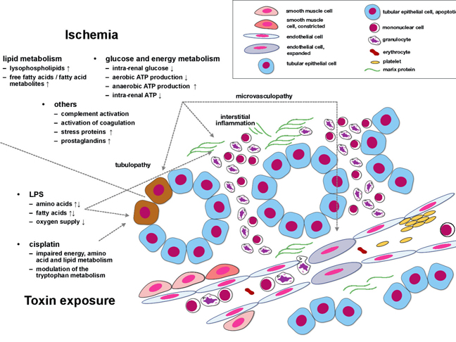 journal of clinical medical research impact factor