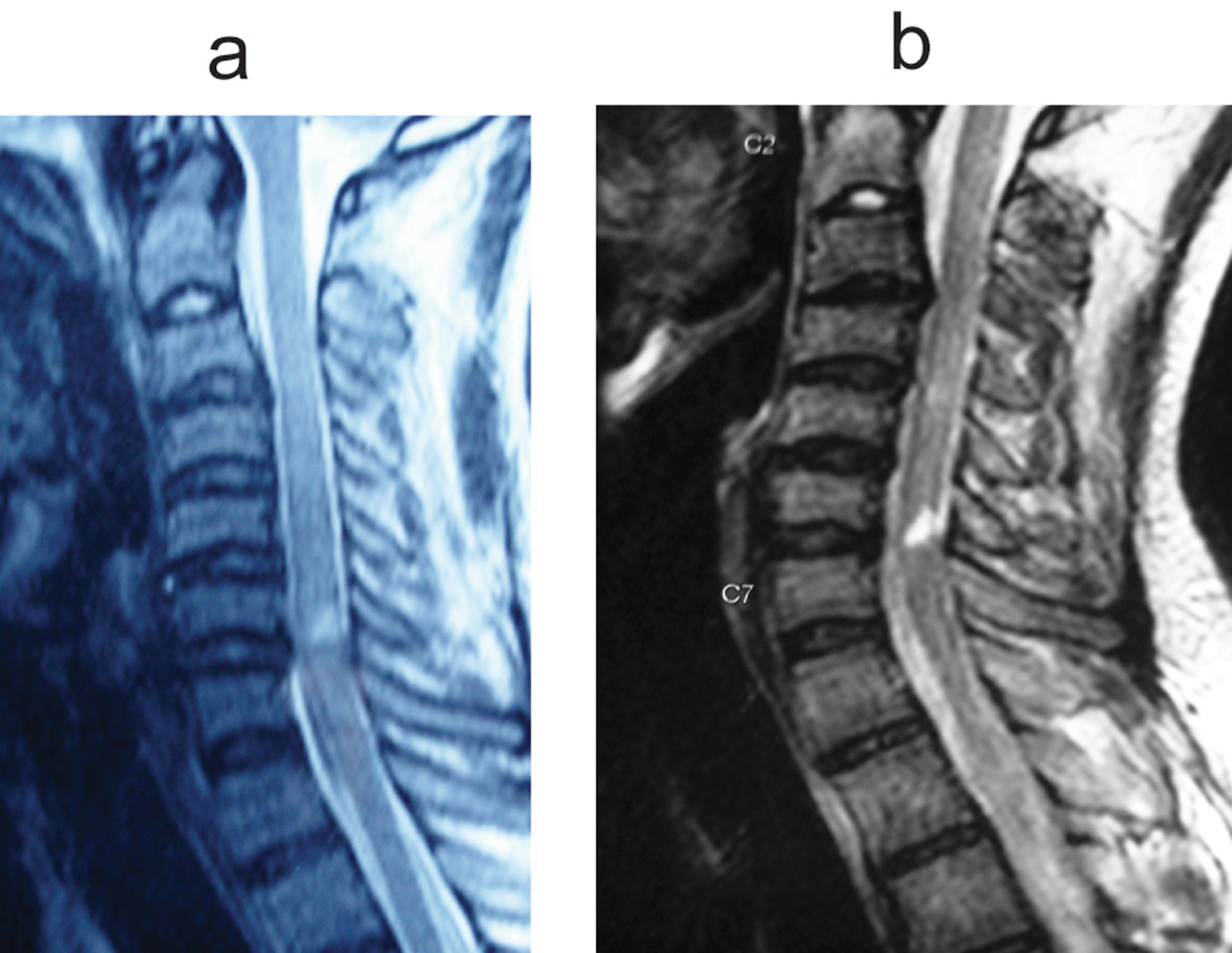 Figure 7. 