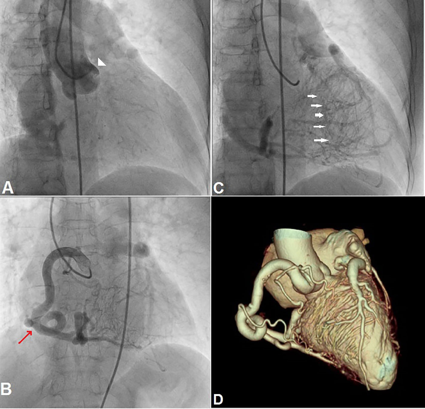 Figure 5. 