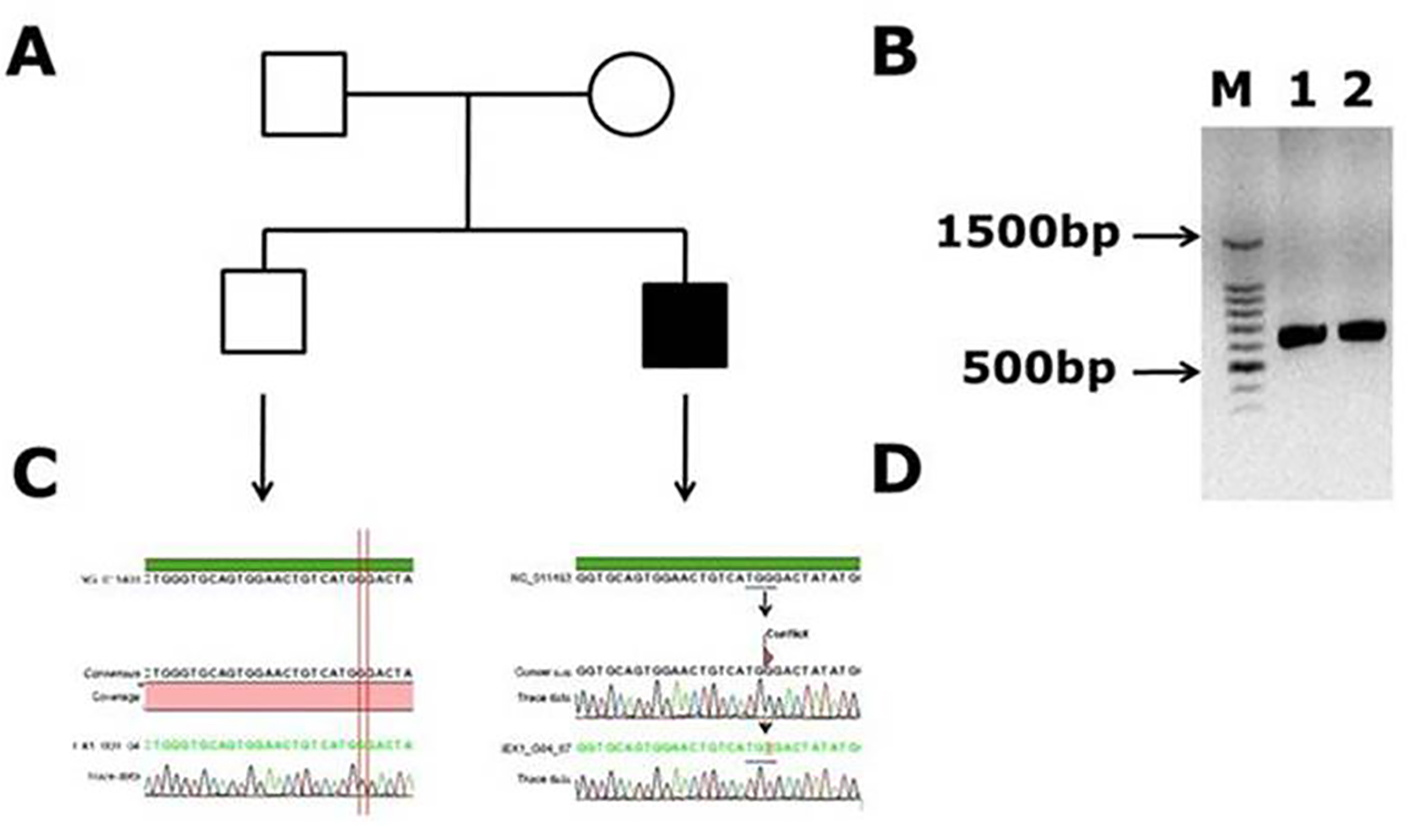 Figure 1.
