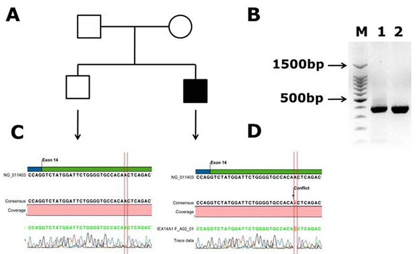 Figure 2.
