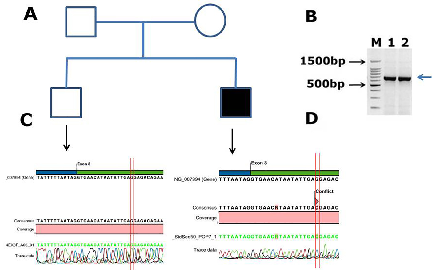 Figure 4.