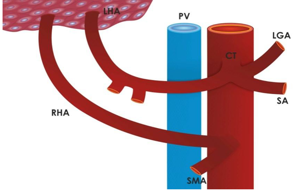 Figure 3. 