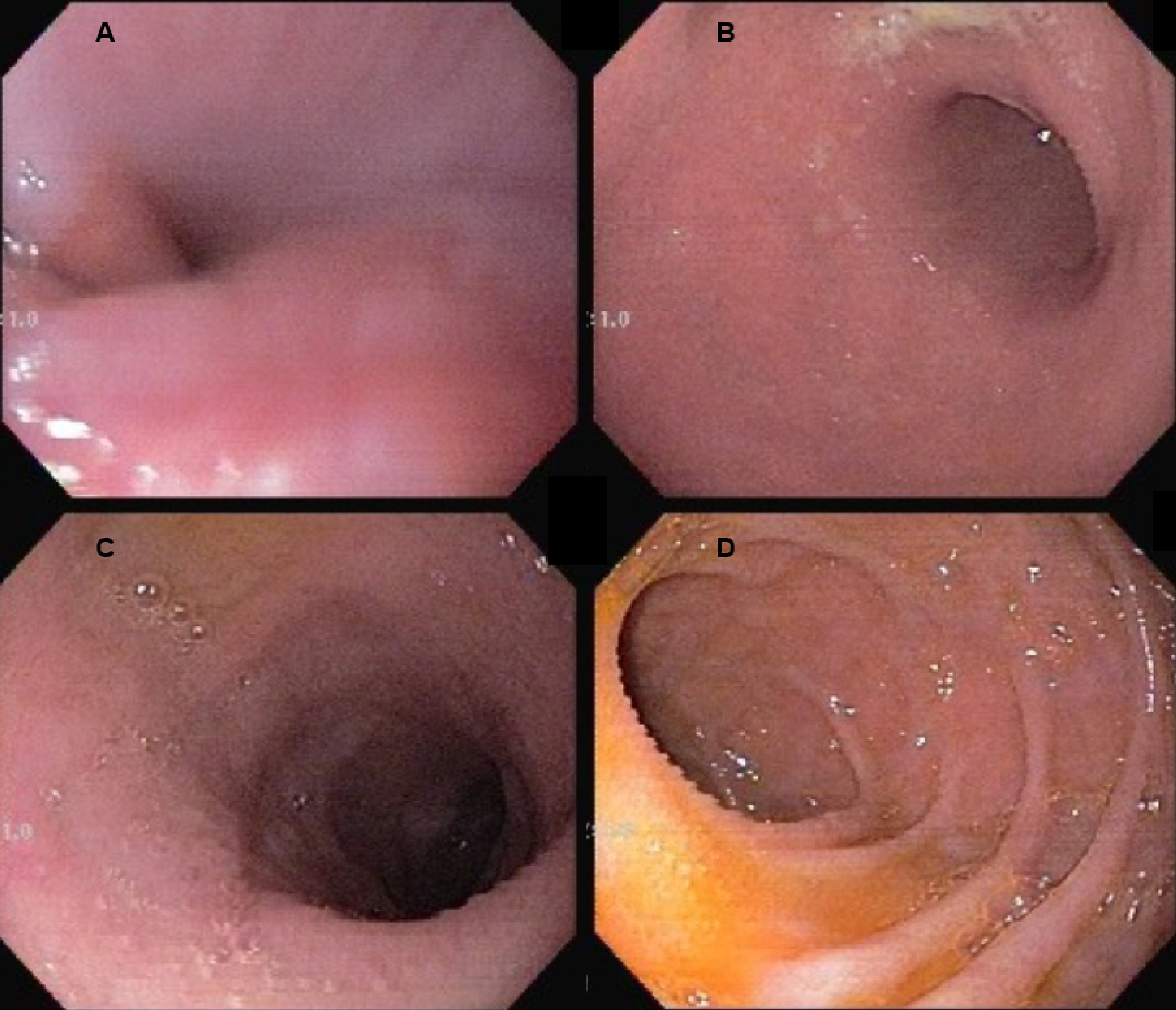 Figure 3. 