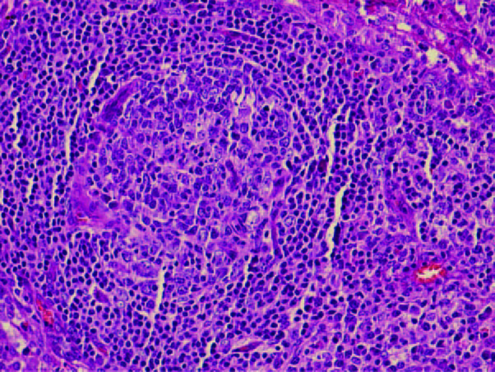 Figure 3.. 
