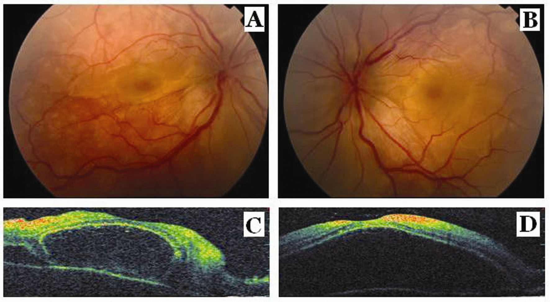 Figure 1.. 