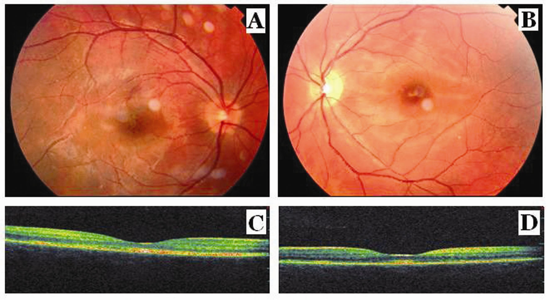 Figure 2.. 