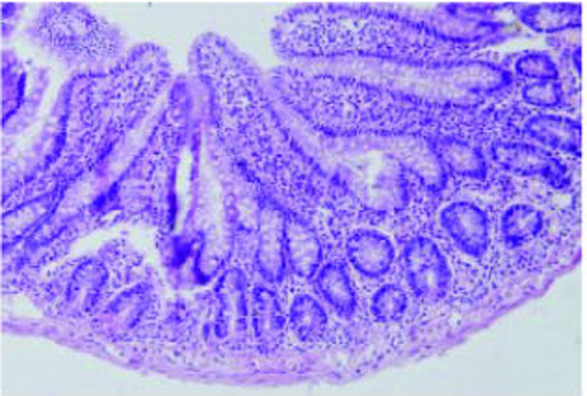 Figure 2.. 